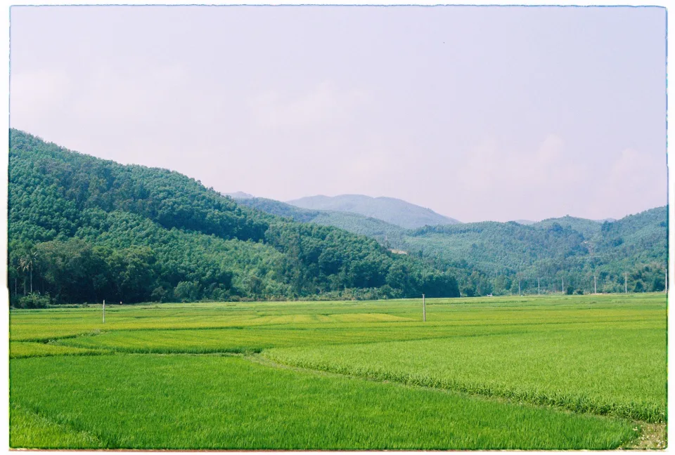 Kho gạo của Lê Văn Long